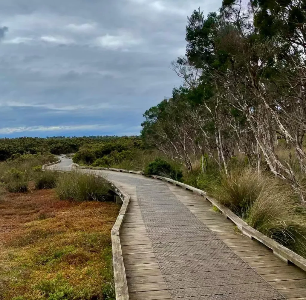 Oswin Roberts Reserve
