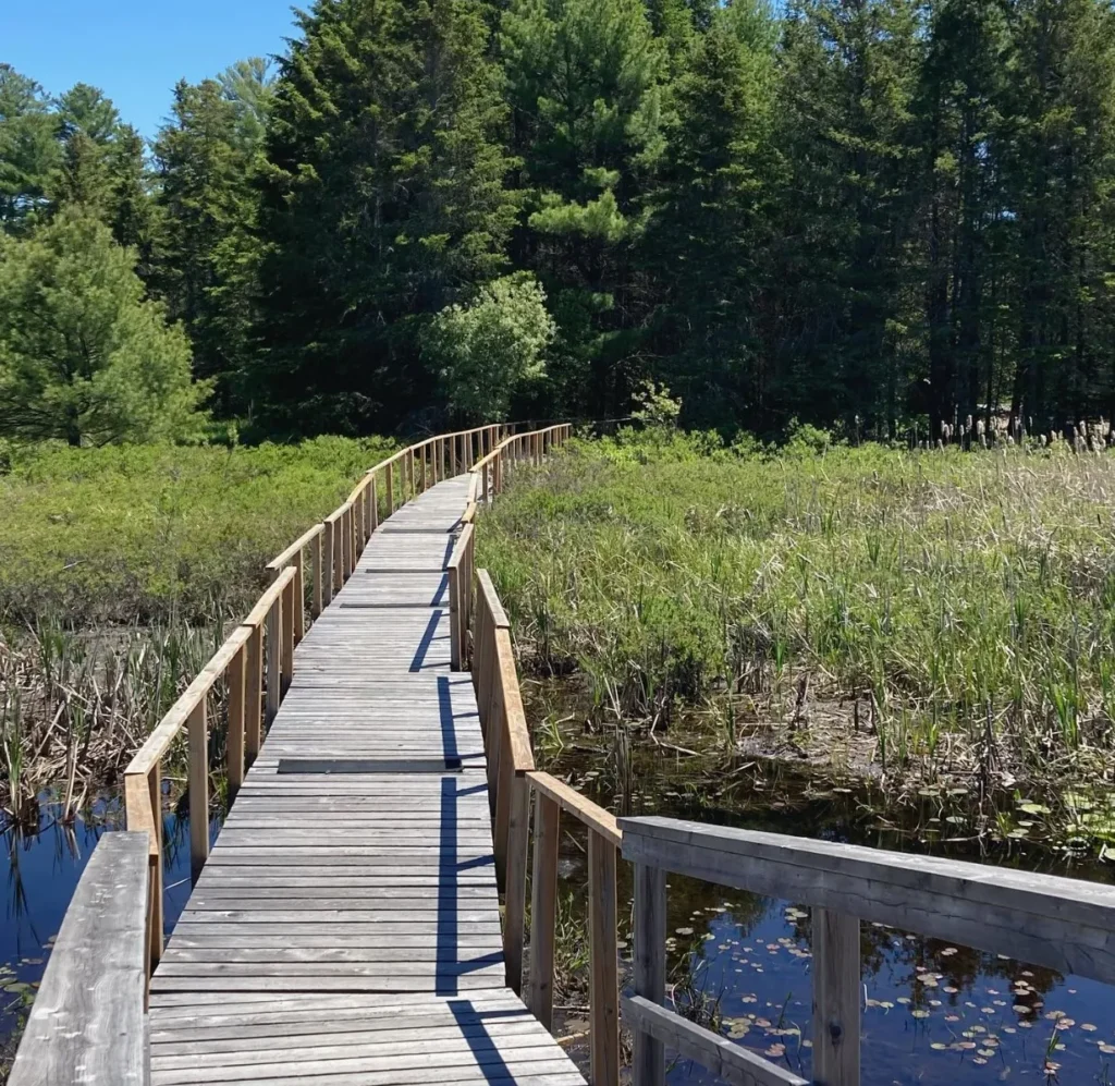 Swan Lake trail